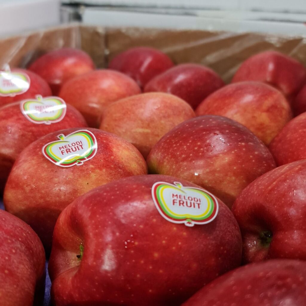 Apple | Gala