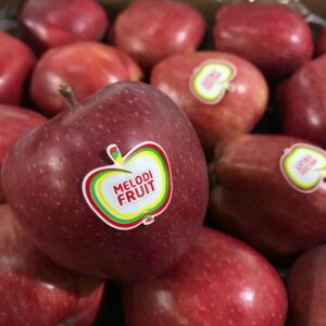 Apple | Red Delicious