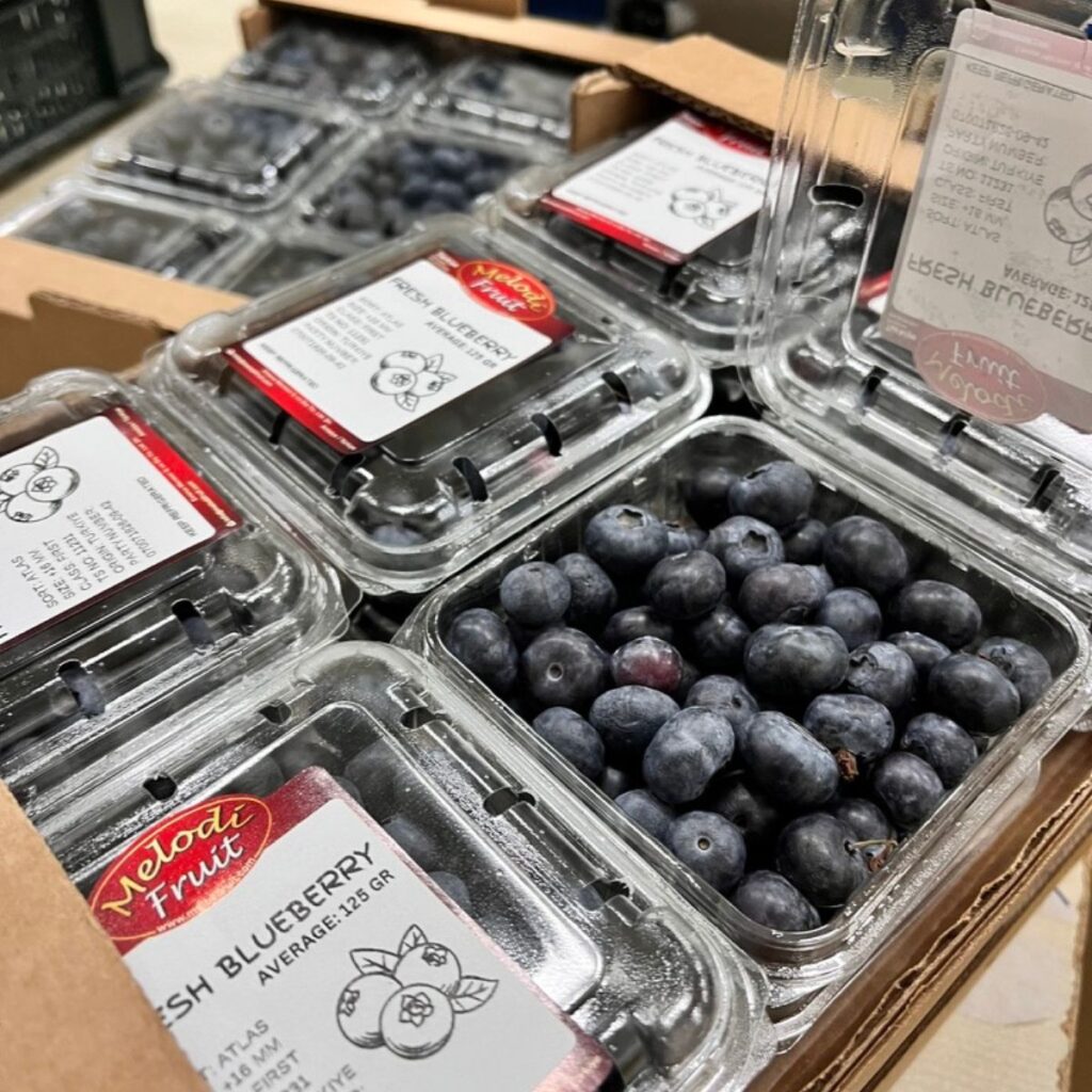 Blueberry