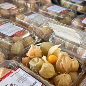 Physalis Fruit