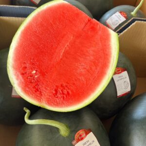 Seedless Watermelon
