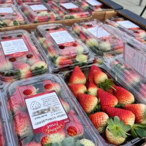 Strawberry