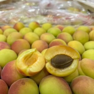 Suger Apricot